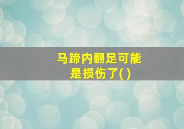 马蹄内翻足可能是损伤了( )